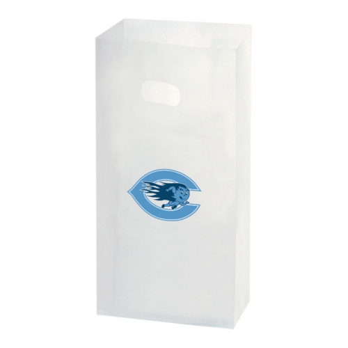 Clear Frosted Die Cut Handle Square Botton Bags